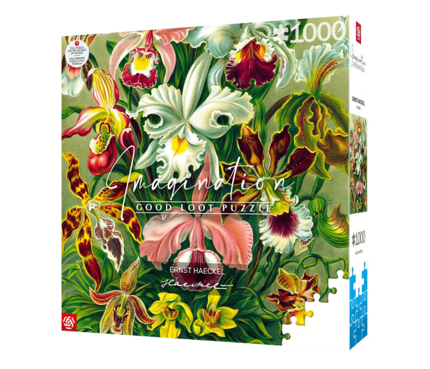 Merch Imagination Puzzle: Ernst Haeckel Orchidea / Orchid 1000 ele - 1275295 - zdjęcie 2